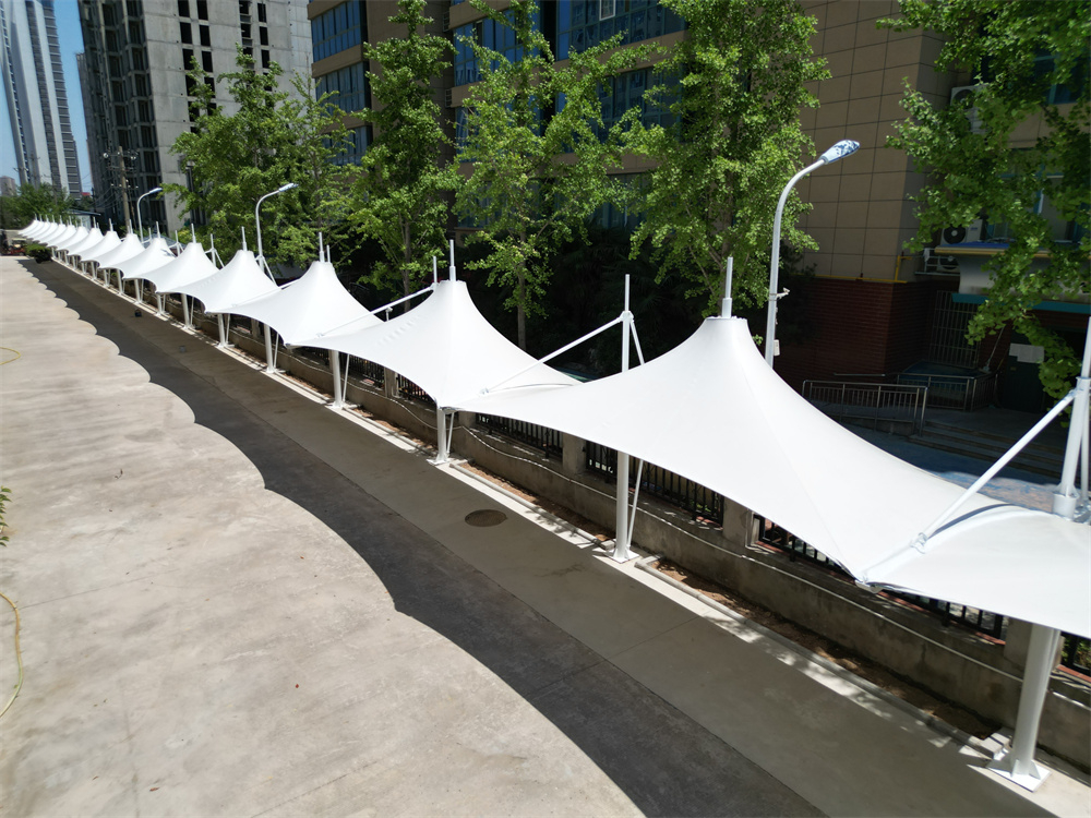 膜结构一些基础性常识知识